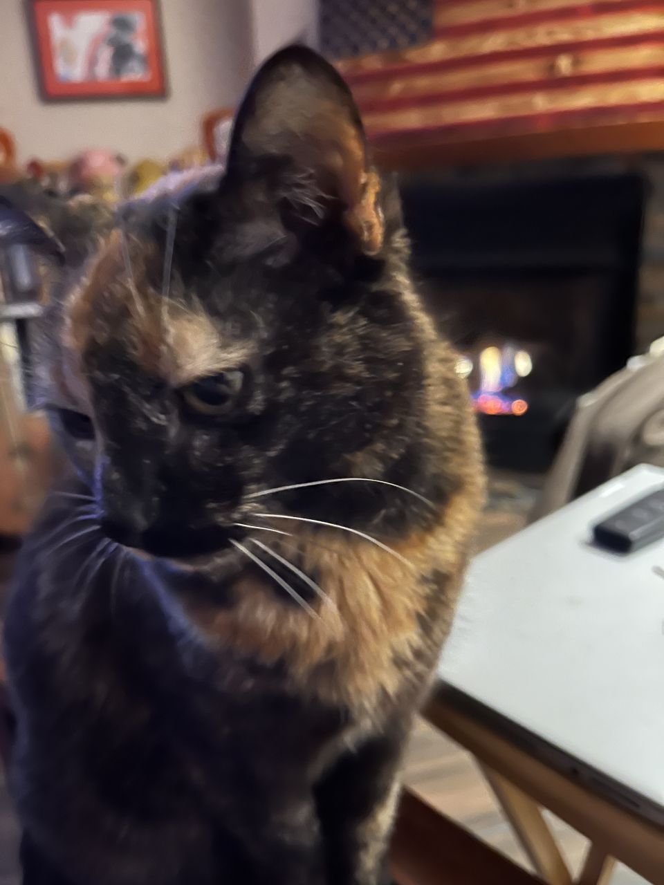 soulcat23's picture 5 of 5