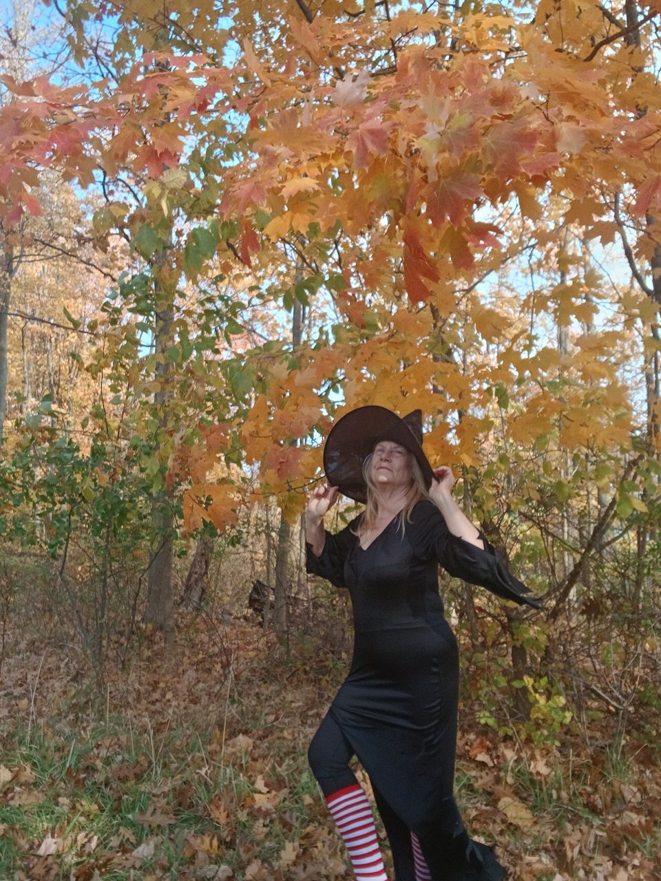 FrancesBridget's picture 4 of 4