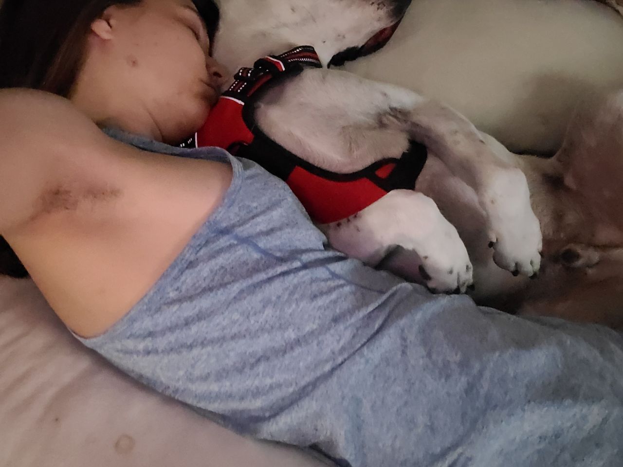 cuddlejen231's picture 3 of 3
