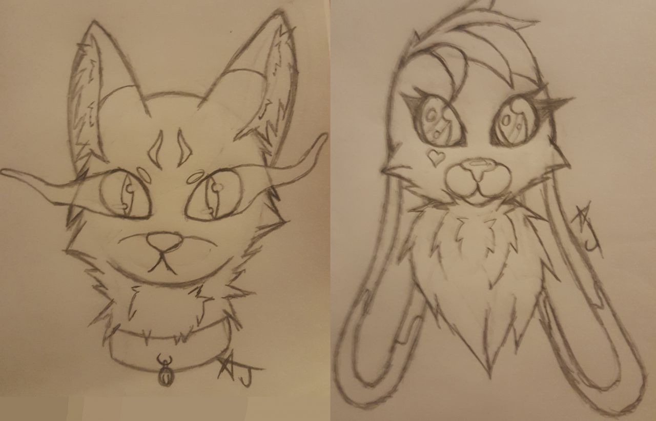 Kittypaw's picture 8 of 9