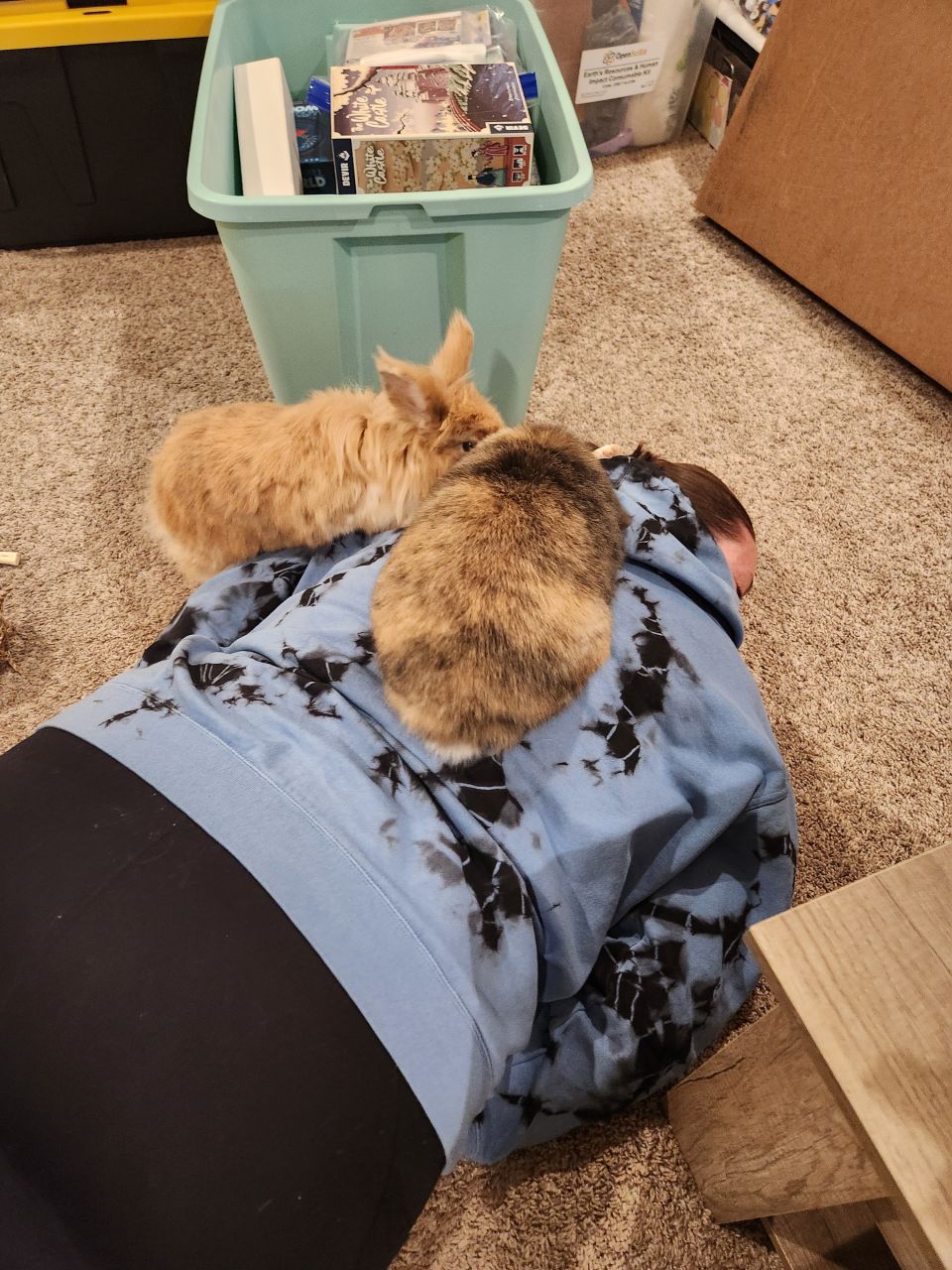 cuddlyeverafter's picture 4 of 5