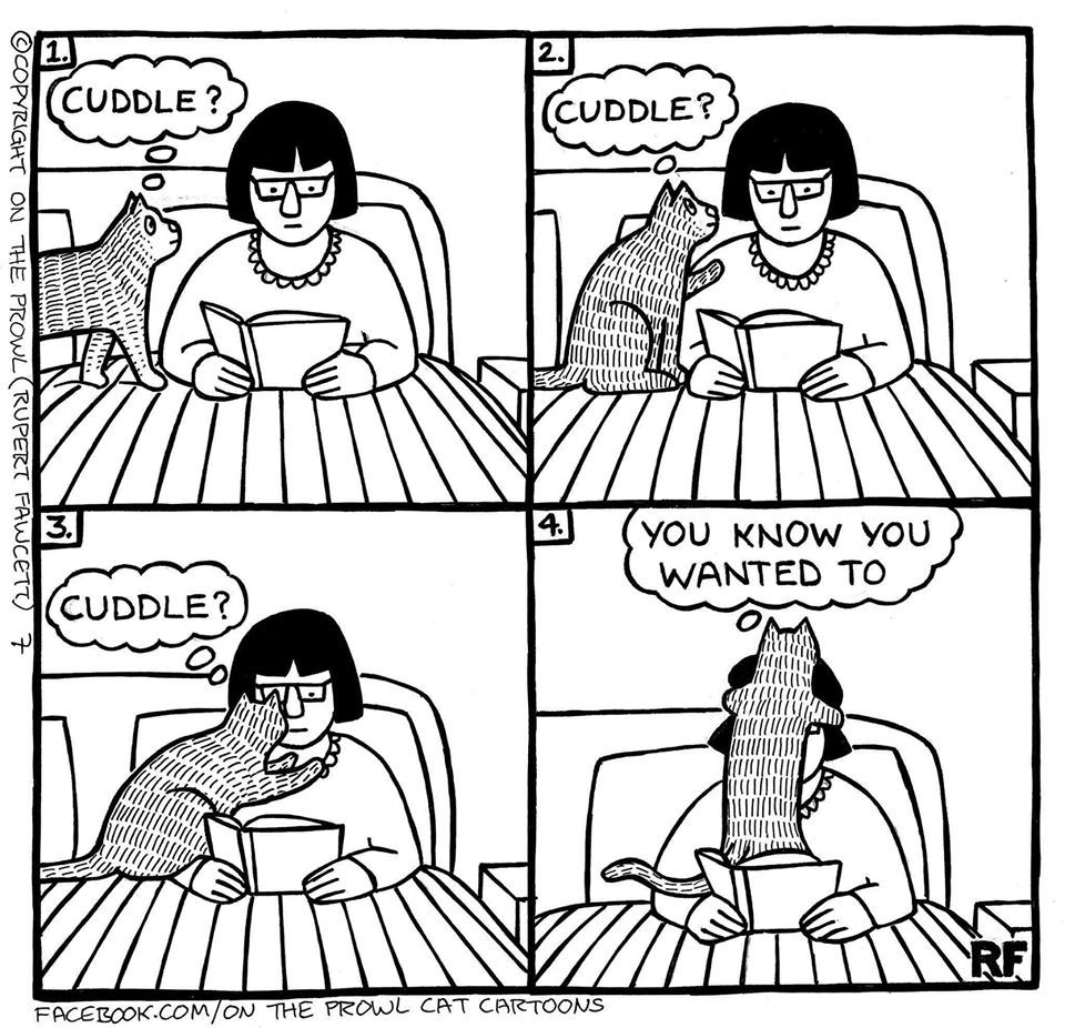 CuddleNTalk's picture 5 of 8