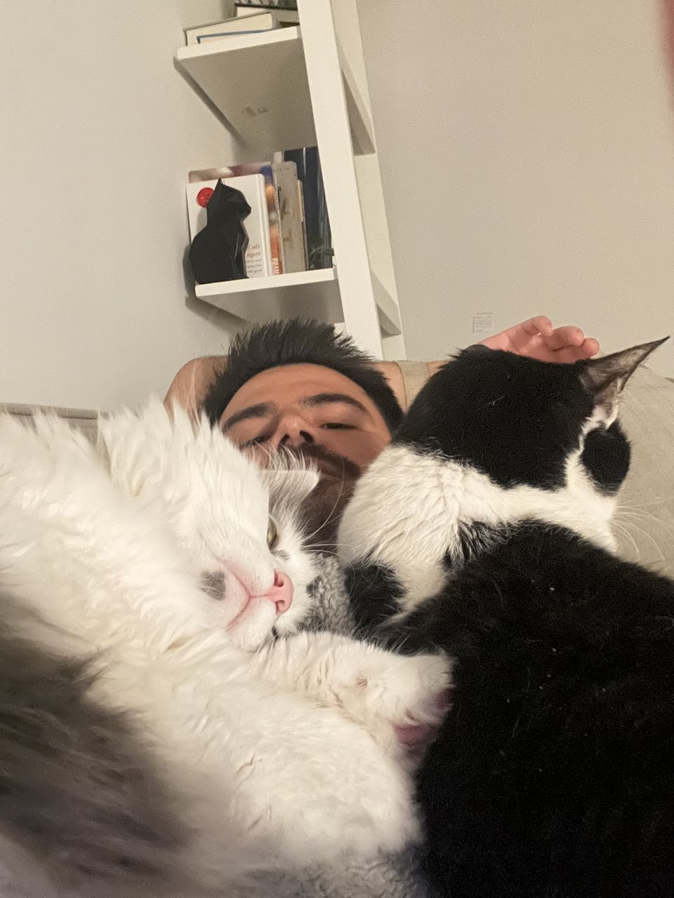 catwhocuddles's picture 4 of 4