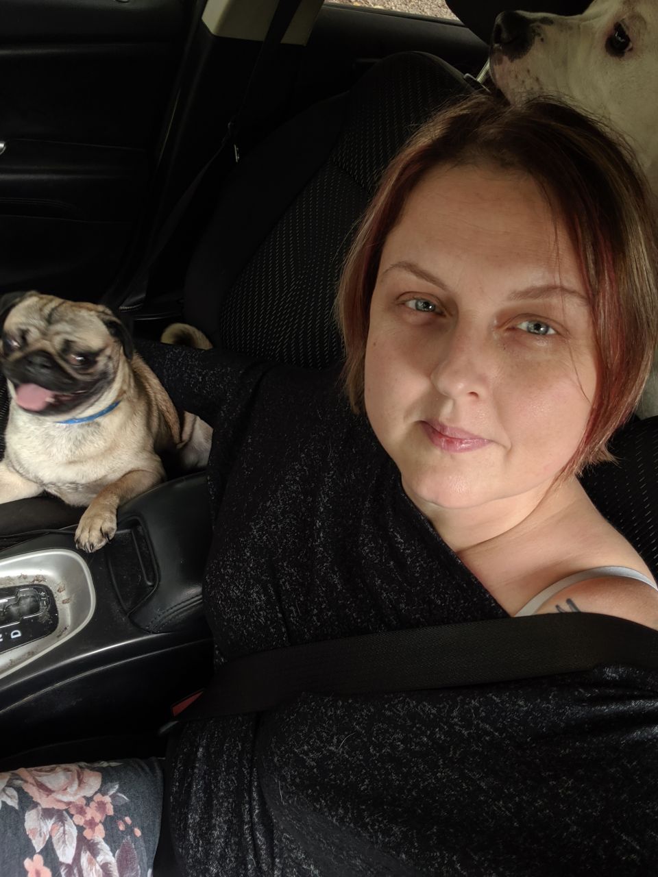 Professional Cuddler in Knoxville, Iowa, US comfybuddy