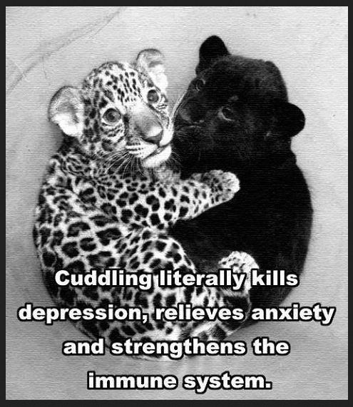 EliteCuddles's picture 3 of 5