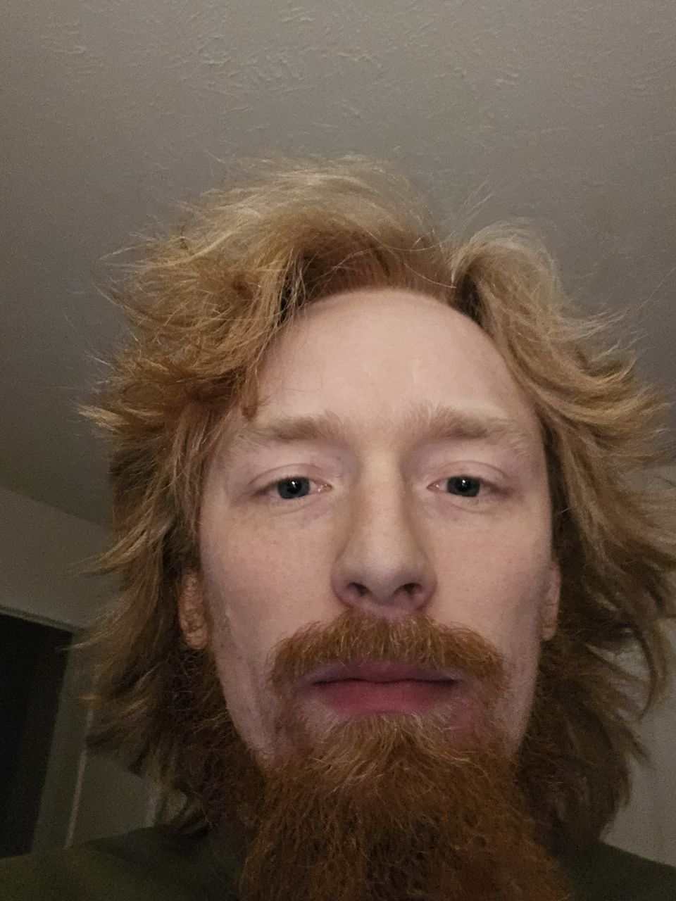 Irishtiger9's picture 3 of 3