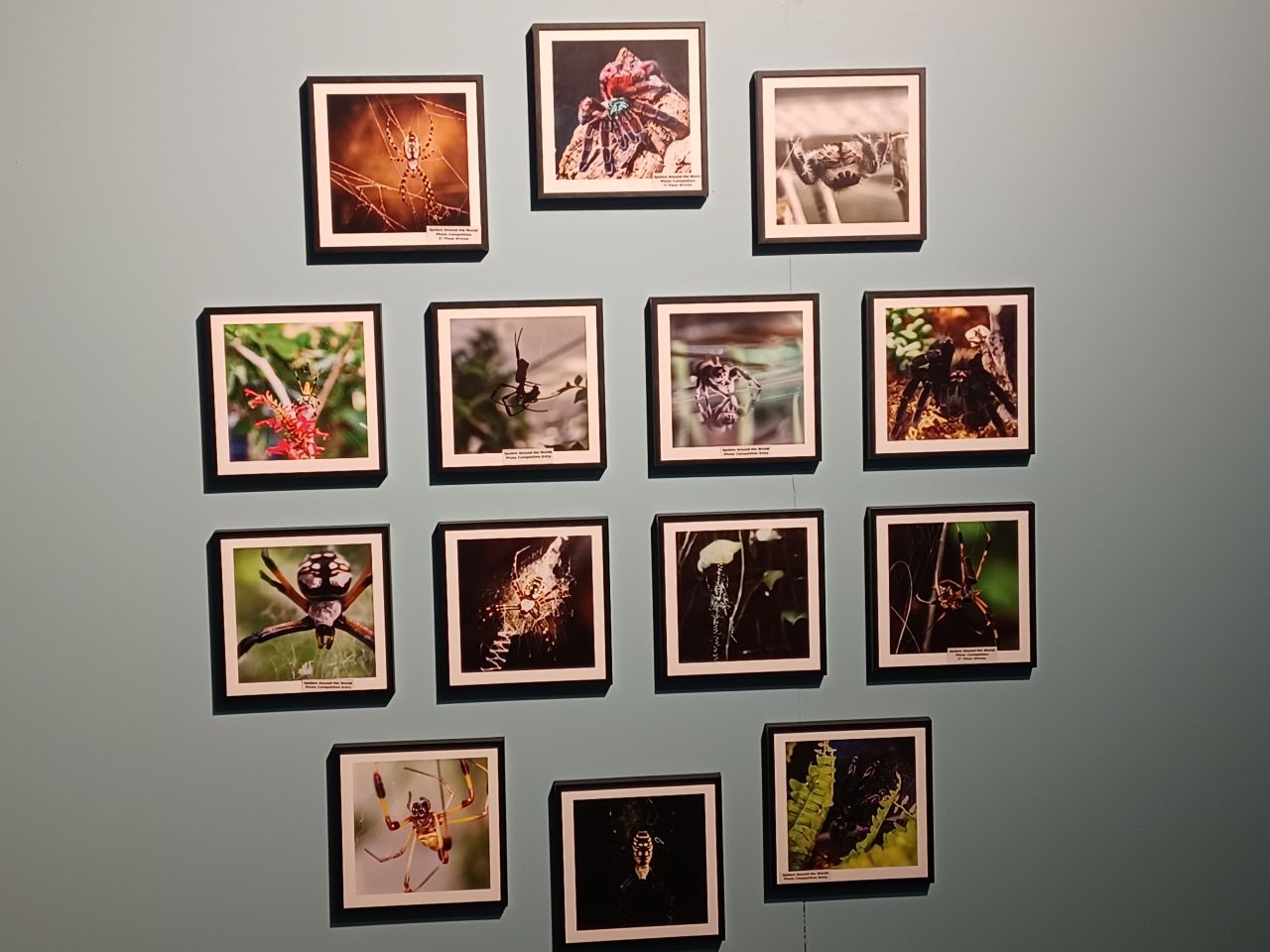 1neThousandAyes's picture 3 of 3