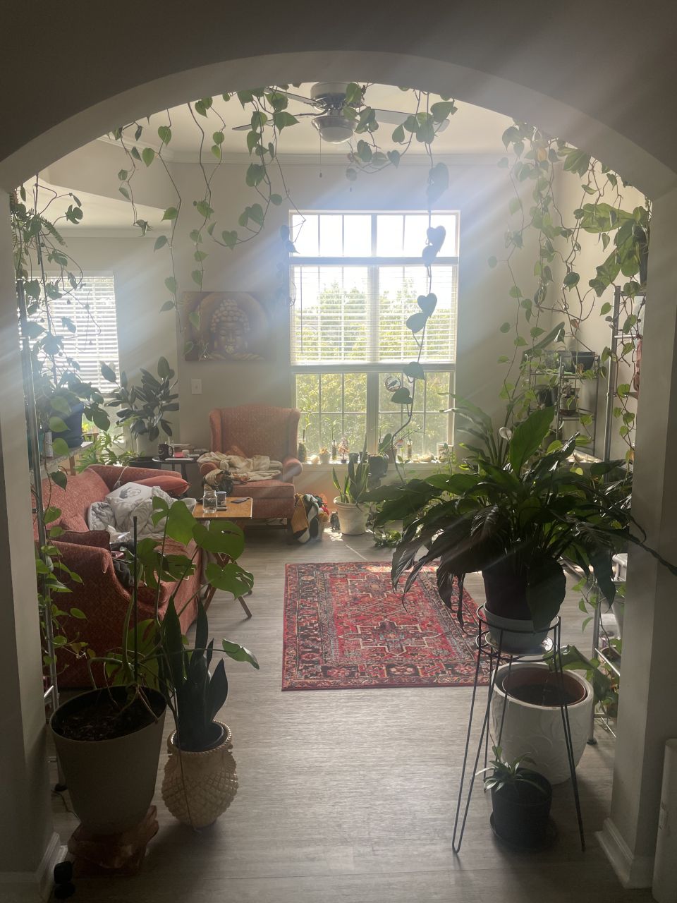 SnugglyPlantDad's picture 4 of 13