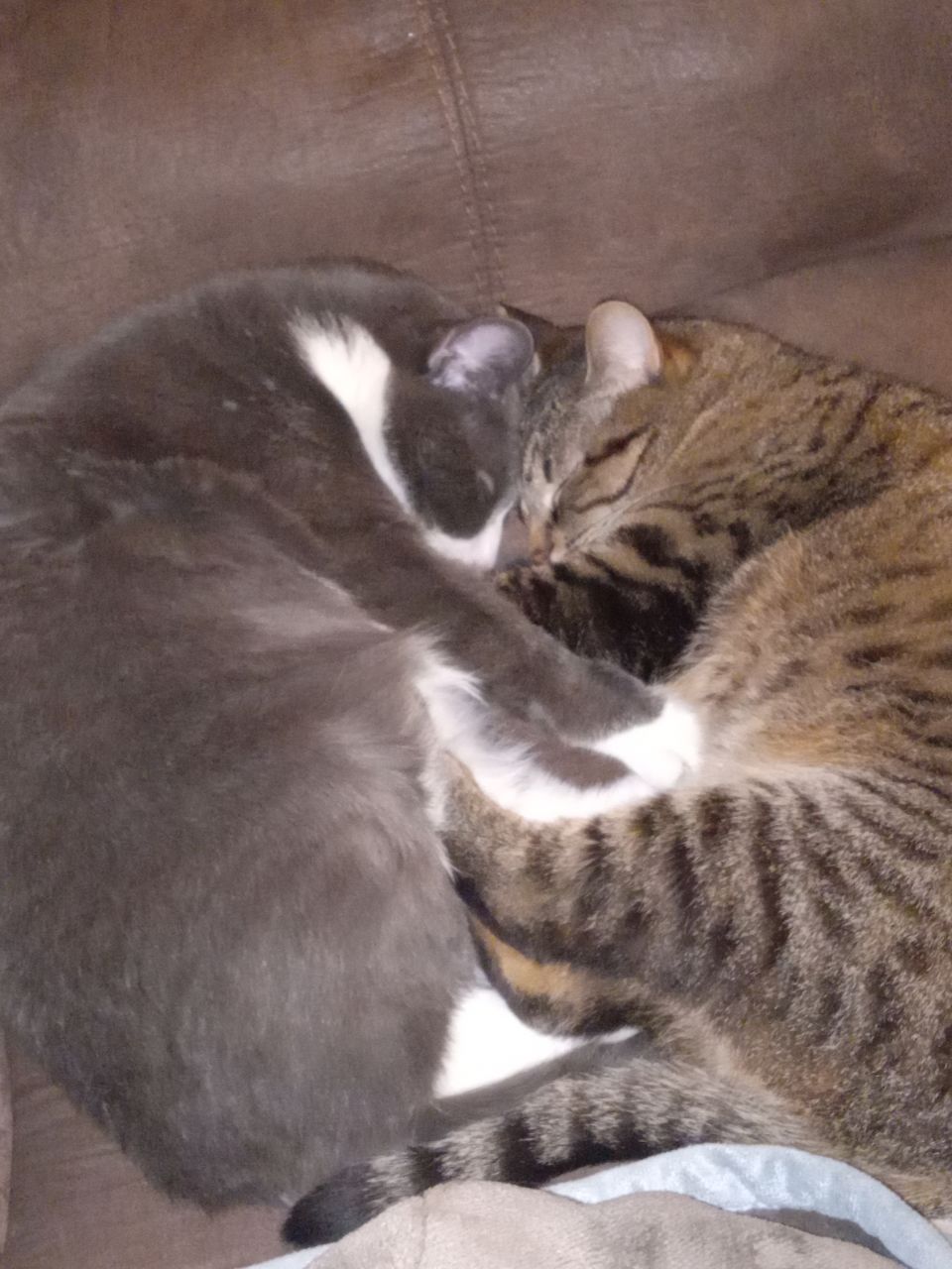 Snugglez4Life's picture 2 of 2