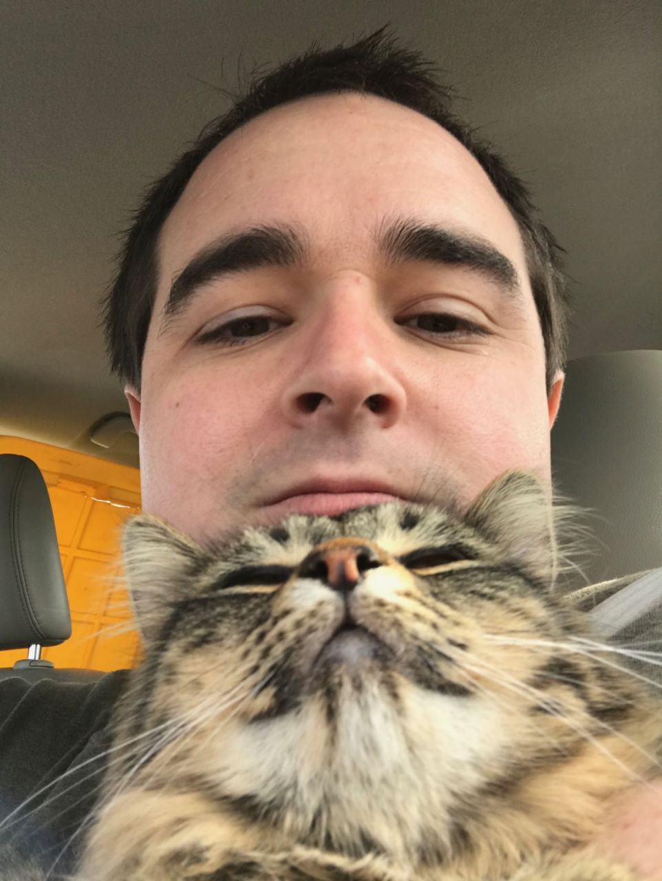 CatCuddler's picture 3 of 3
