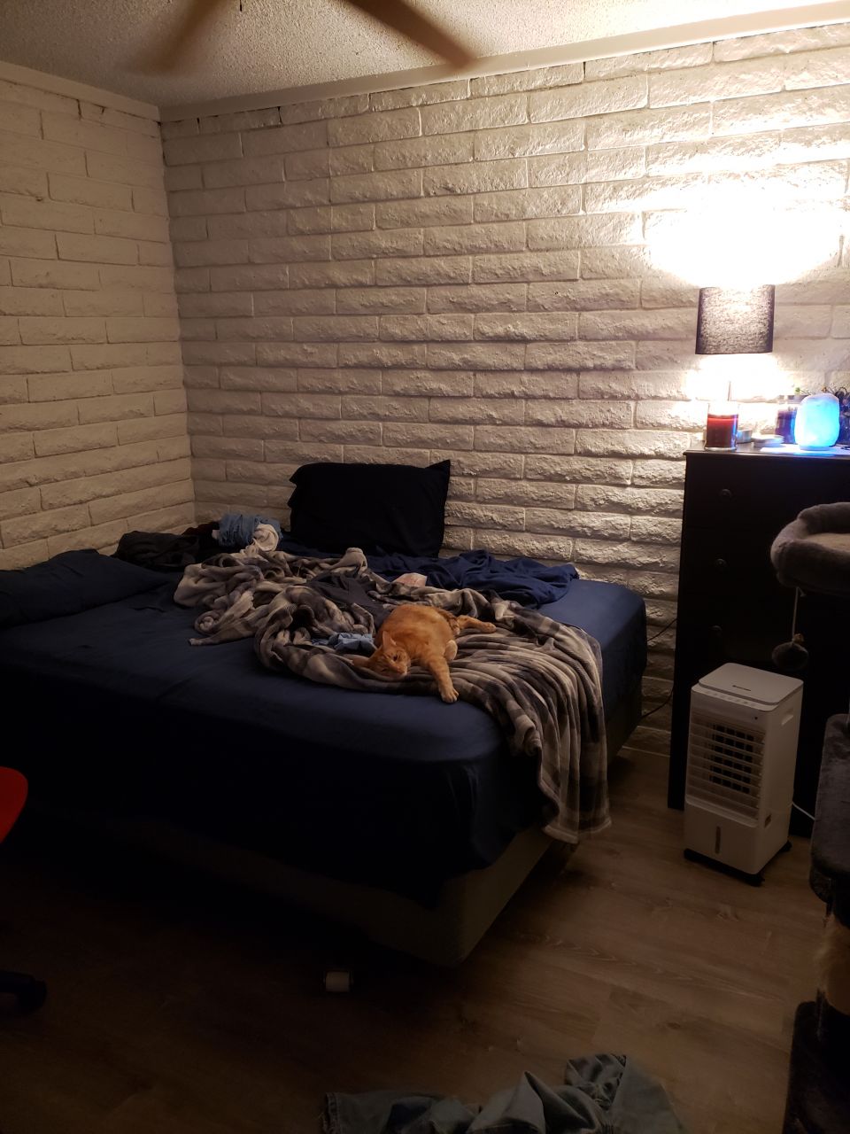 Asmrcuddly's picture 5 of 8