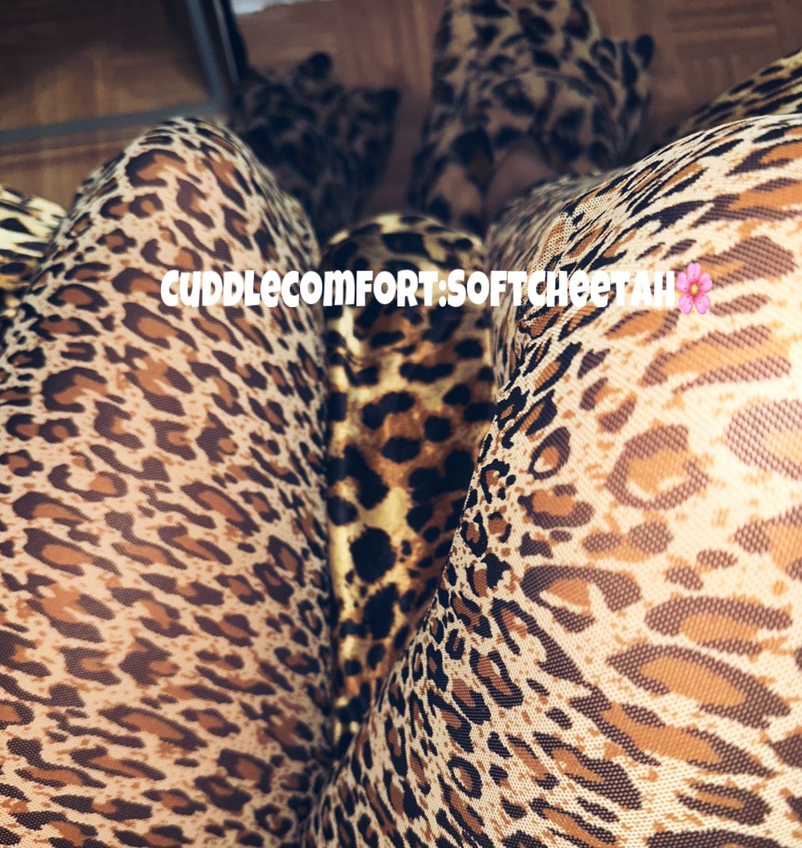 SoftCheetah's picture 4 of 10
