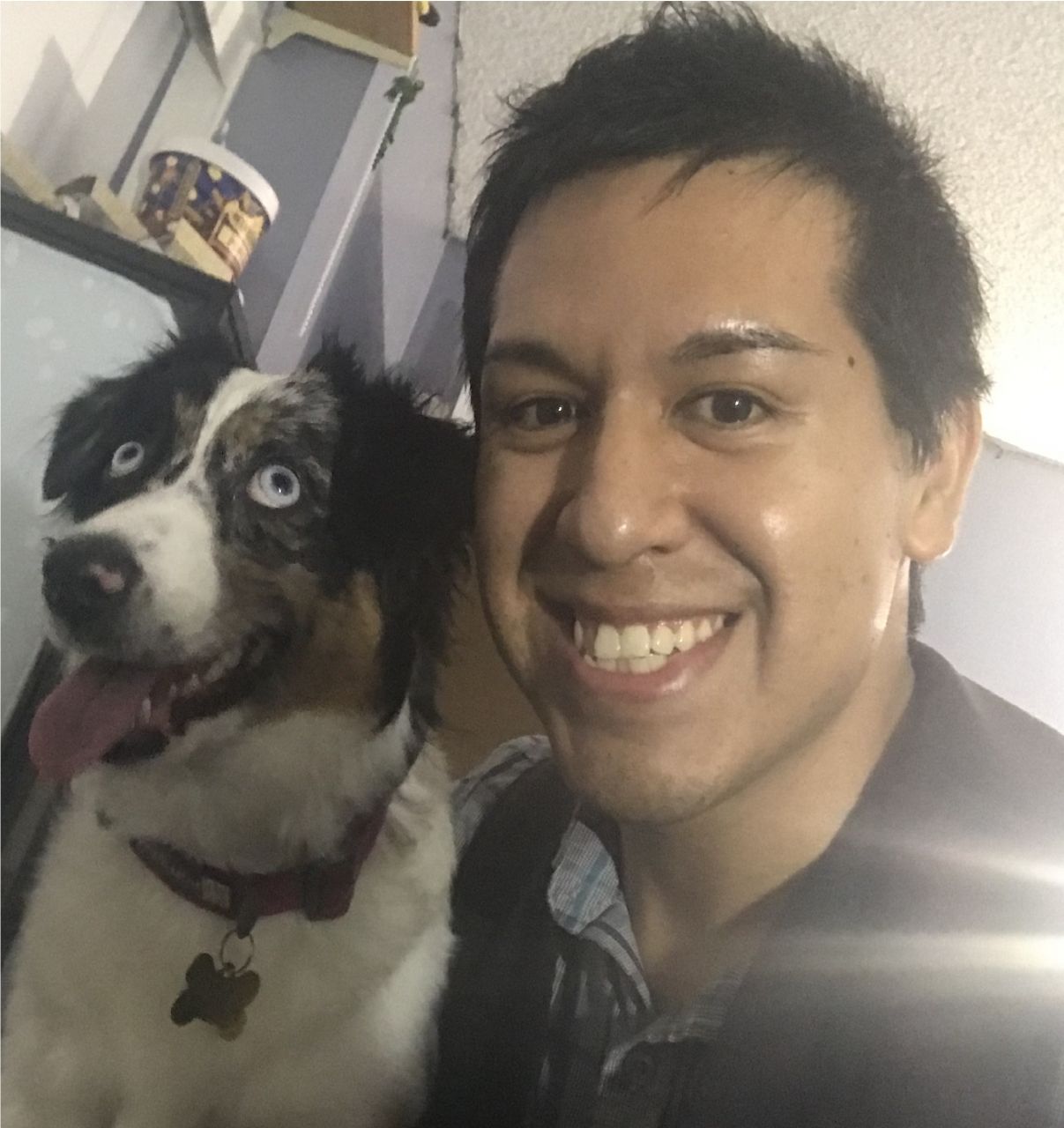 cuddle-buddy-in-buena-park-california-us-reecegoose