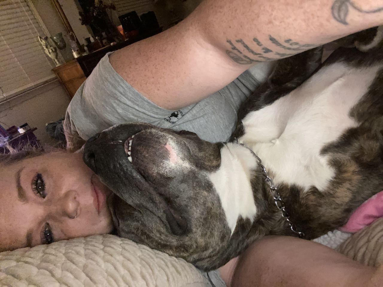 Scotishcuddler's picture 2 of 3
